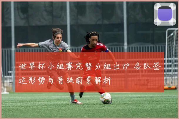 世界杯小组赛完整分组出炉 各队签运形势与晋级前景解析