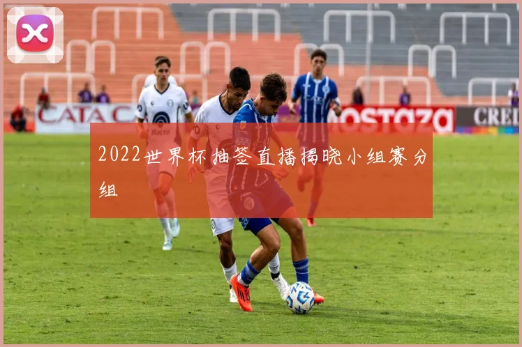 2022世界杯抽签直播揭晓小组赛分组